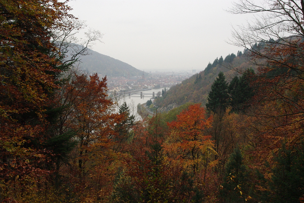 Spätherbst über Heidelberg