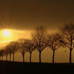 ...Spätherbst verglimmt... - Abschied... (2. unabhängige Variante)