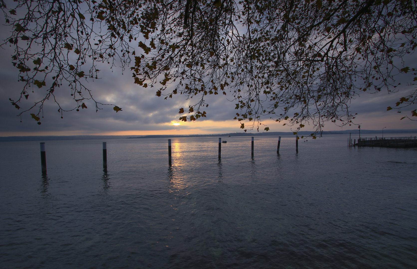 Spätherbstabend am Bodensee