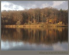 Spätherbstabend an einem See in Brandenburg