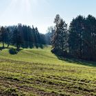 Spätherbstimpressionen auf dem Hangarder Flur