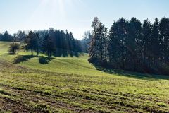 Spätherbstimpressionen auf dem Hangarder Flur