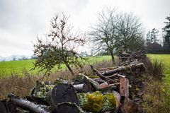 Spätherbstimpressionen auf dem Hangarder Flur