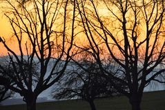 Spätherbstliche Abenddämmerung