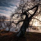 Spätherbstliche Stimmung am Seeufer