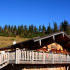 Spätherbstliche Wanderung auf die Latschenalm bei Krispl-Gaissau