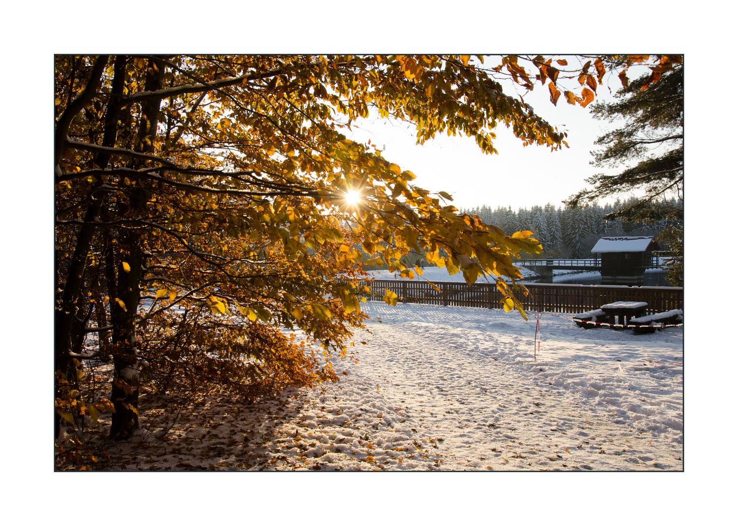 Spätherbstlicher Frühwinter oder frühwinterlicher Spätherbst...