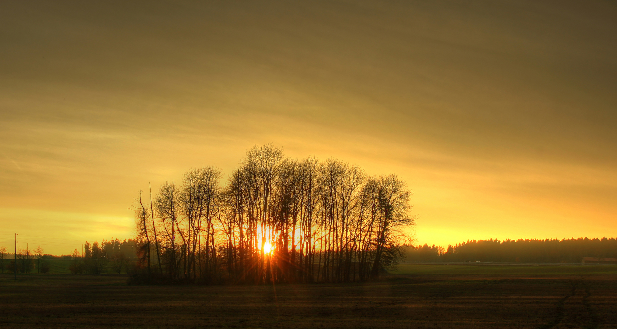 Spätherbstliches Licht