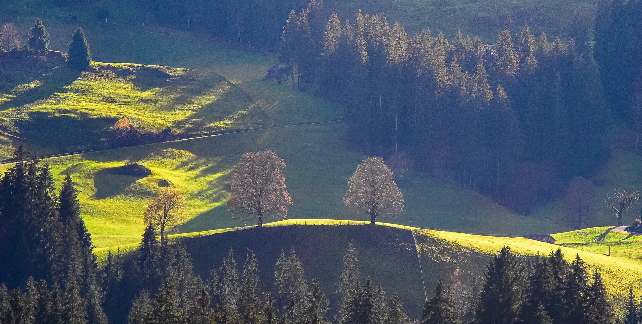 Spätherbstlicht im Emmental