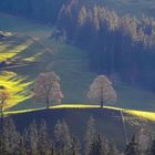 Spätherbstlicht im Emmental