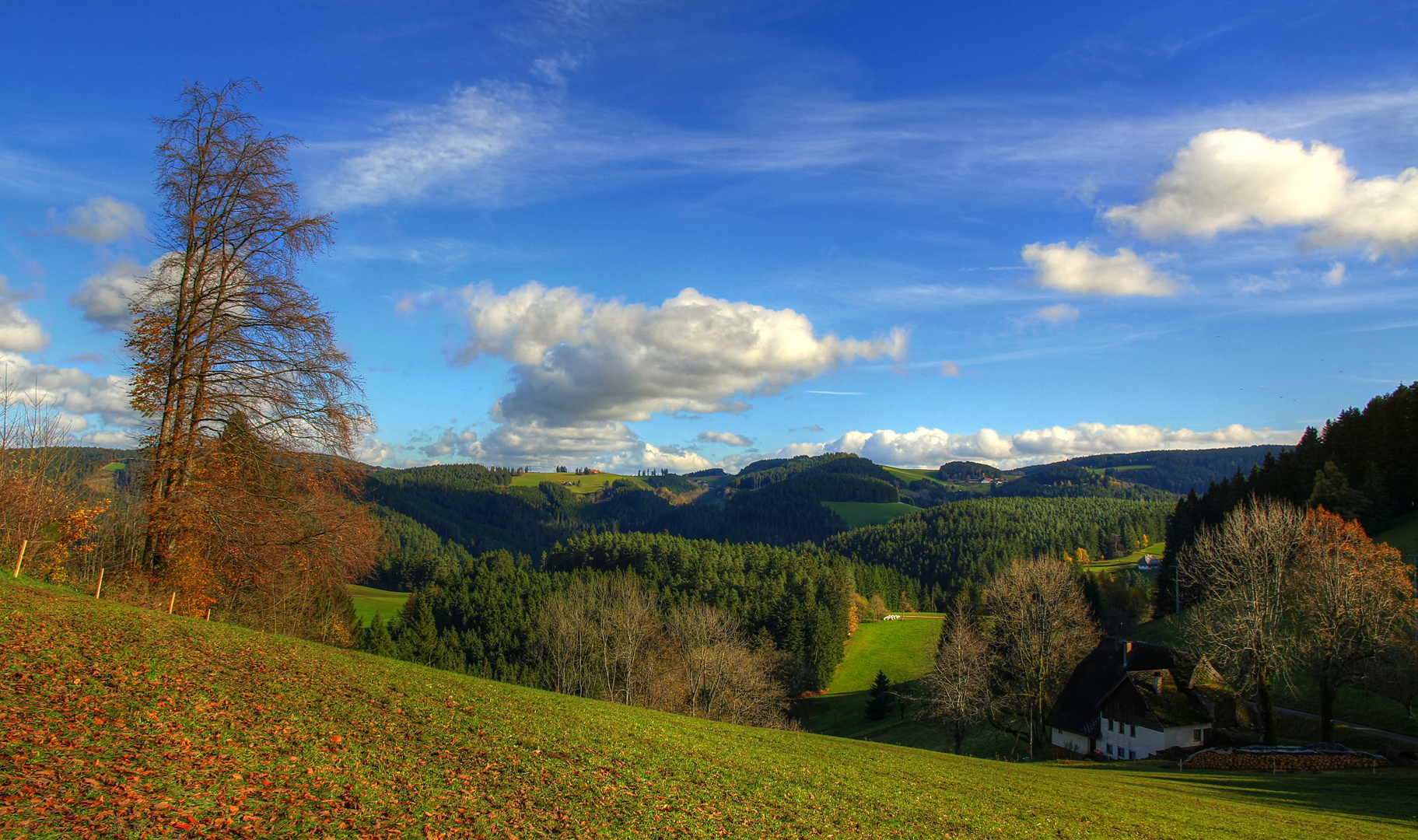 Spätherbsttag im Schwarzwald