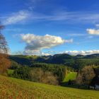 Spätherbsttag im Schwarzwald