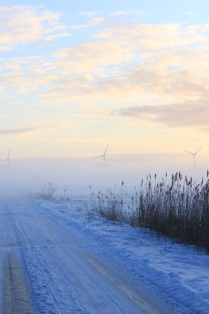 Spätland im Winternebel von Rebi84 