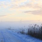 Spätland im Winternebel