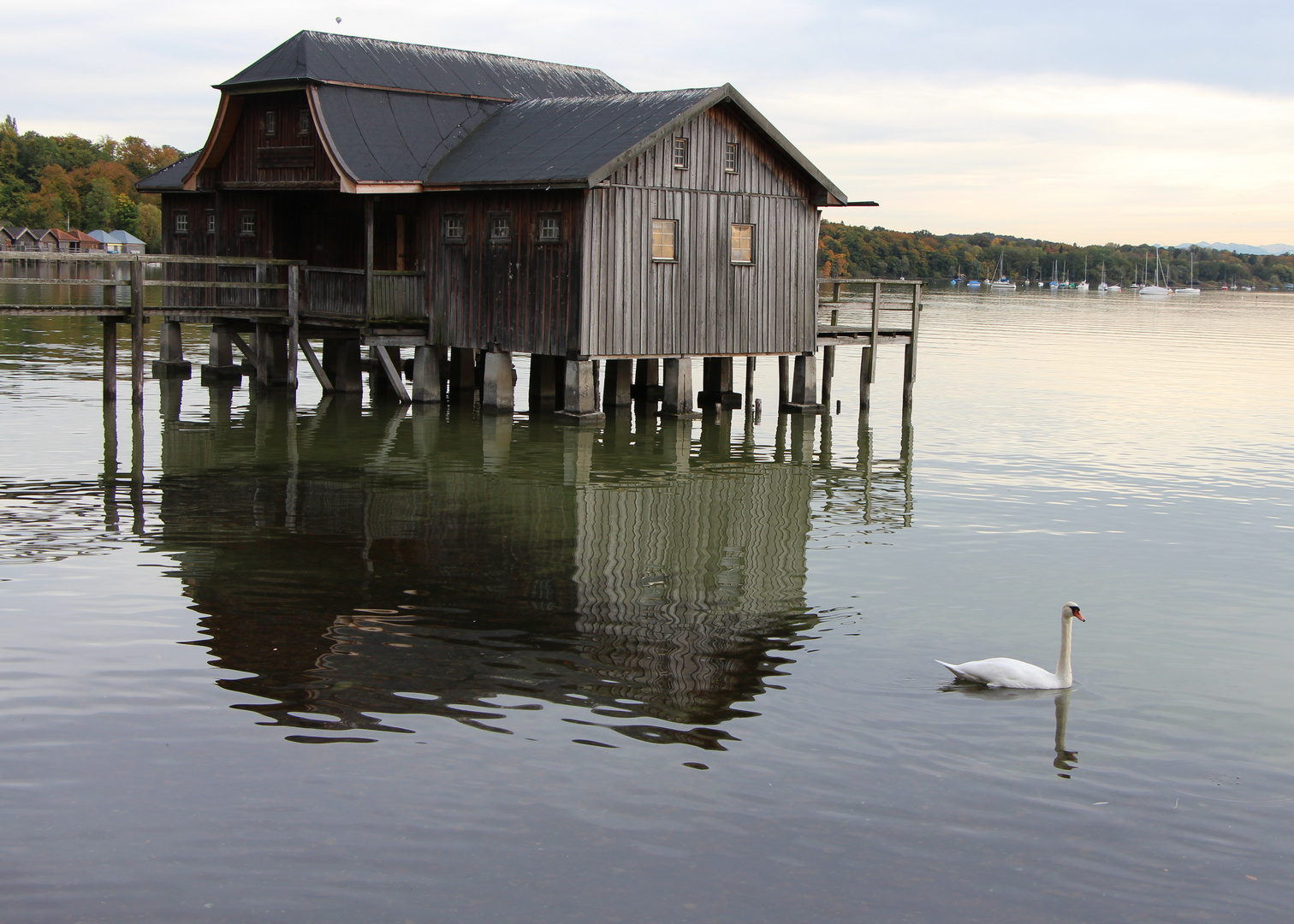 Spätnachmittag am Ammersee