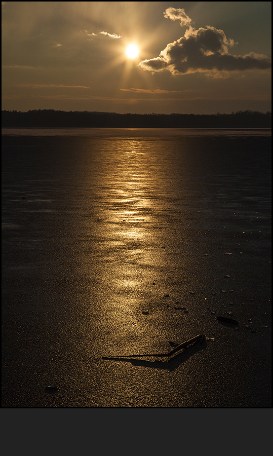 Spätnachmittag am Großen Teich