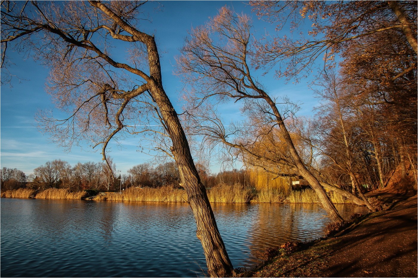 Spätnachmittag am See