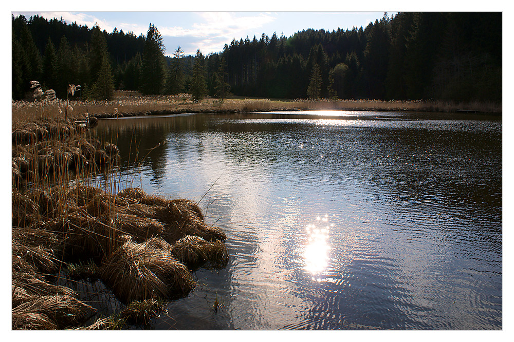 Spätnachmittag am See