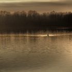 Spätnachmittag am Stausee!