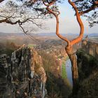 Spätnachmittag an der Bastei