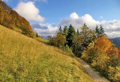 Spätnachmittag auf der Schwäbischen Alb