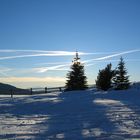 Spätnachmittag auf der Seiseralm