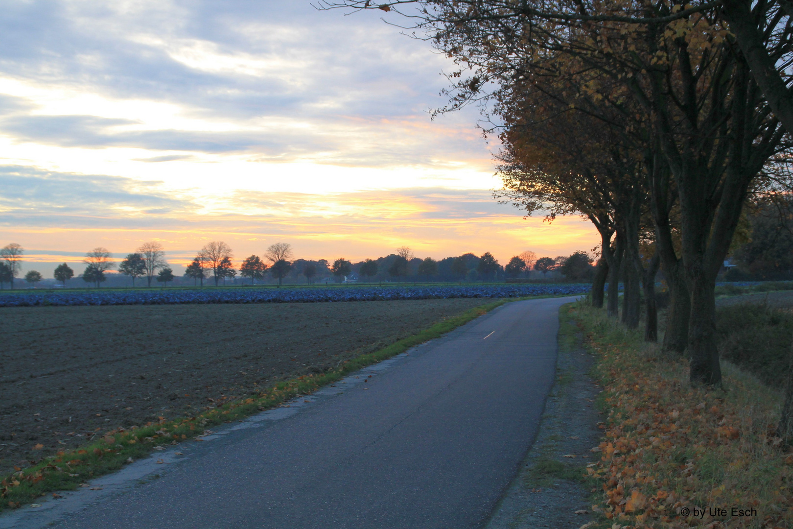 Spätnachmittag im Herbst