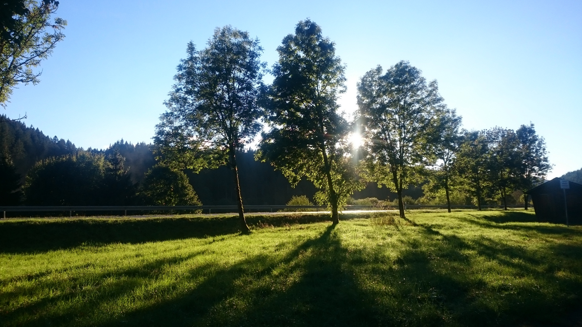 Spätnachmittag im Herbst