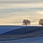 Spätnachmittag im Kraichgau