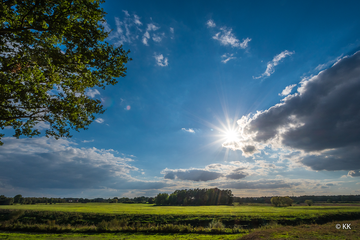 Spätnachmittag im Münsterland I