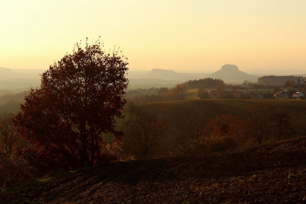 Spätnachmittag im November bei Mittelndorf