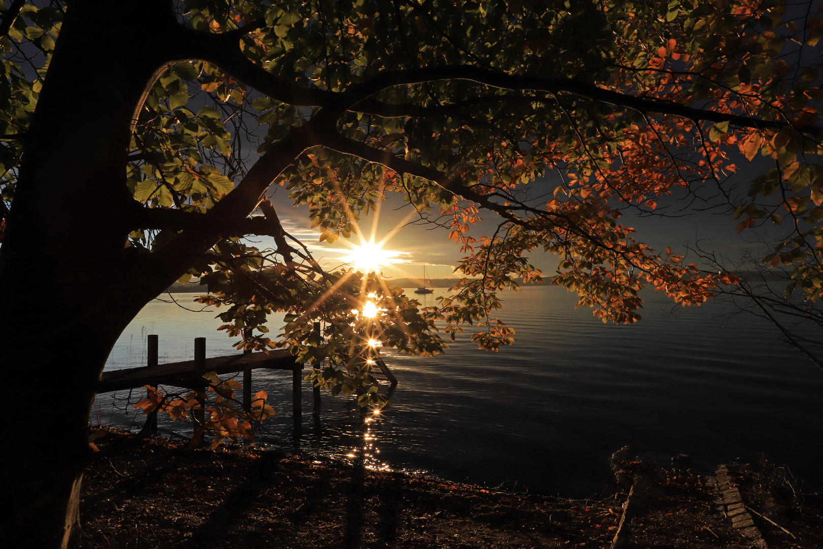 Spätnachmittags am Starnberger See 