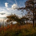 Spätnachmittags auf dem Hochblauen