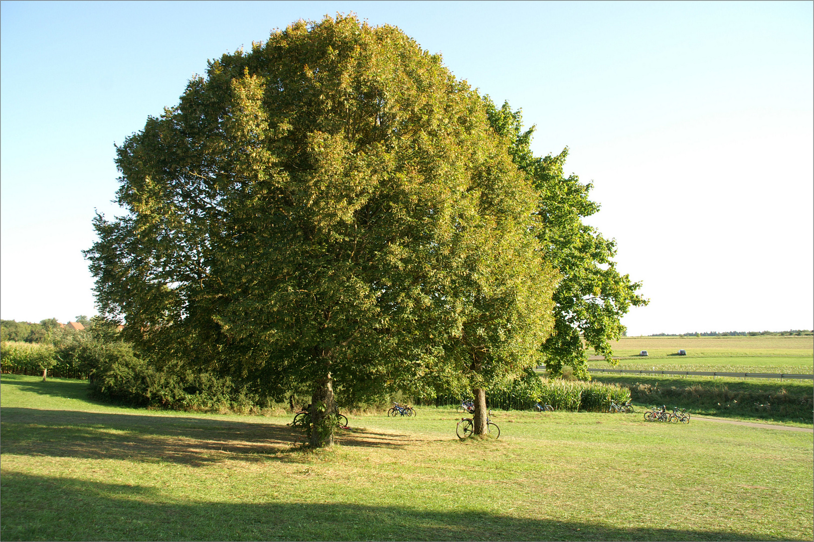 Spätnachmittags im frühen Herbst