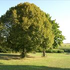 Spätnachmittags im frühen Herbst