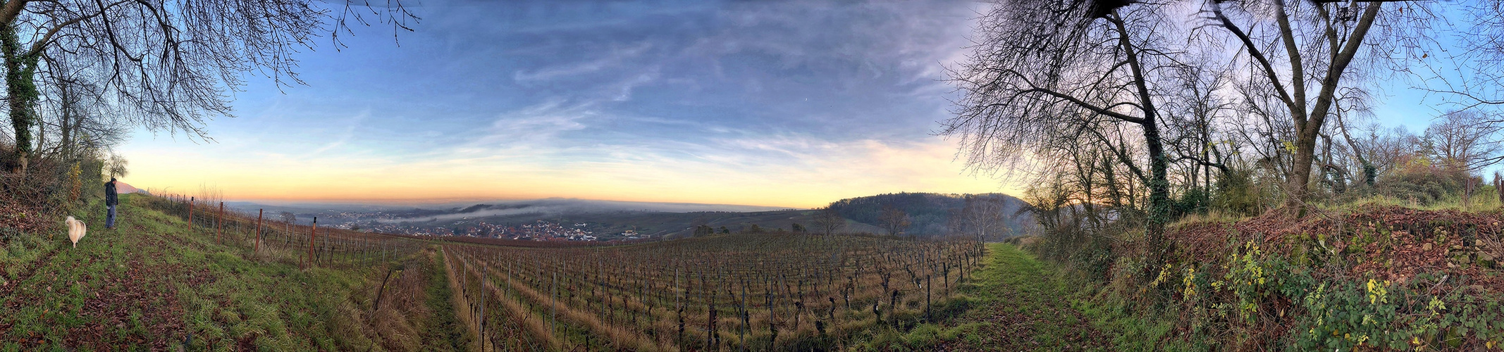 Spätnachmittags Spaziergang durch die Weinberge 