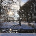 Spätnachmittagssonne am "Löbauer Wasser"