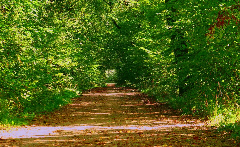 Spätsommer