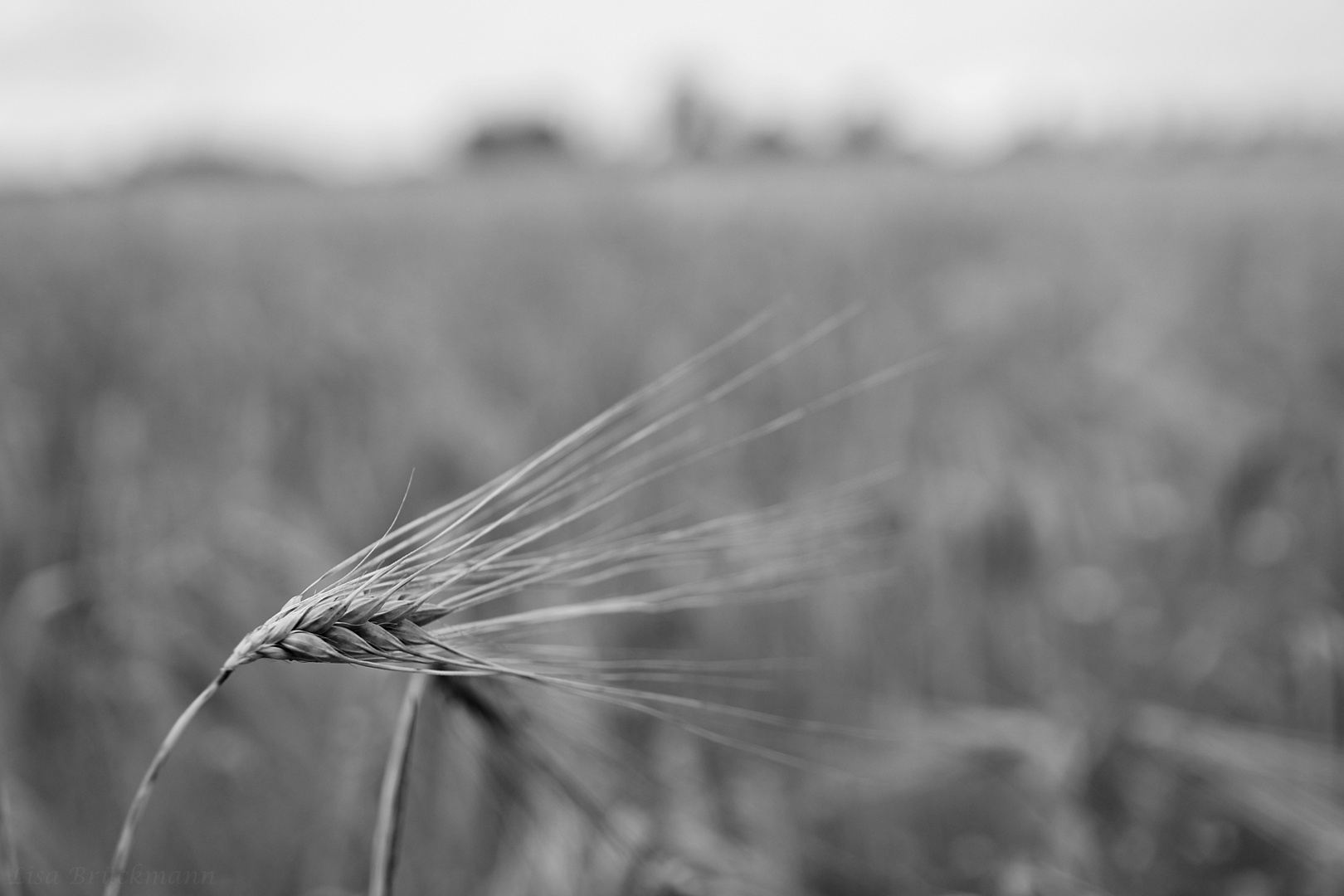 Spätsommer 