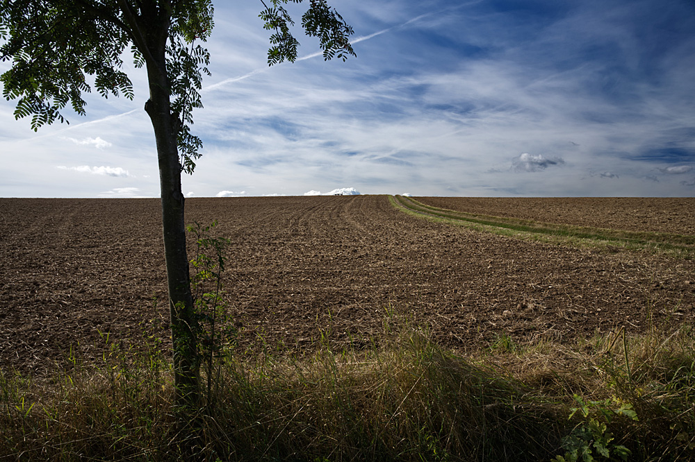 Spätsommer 1