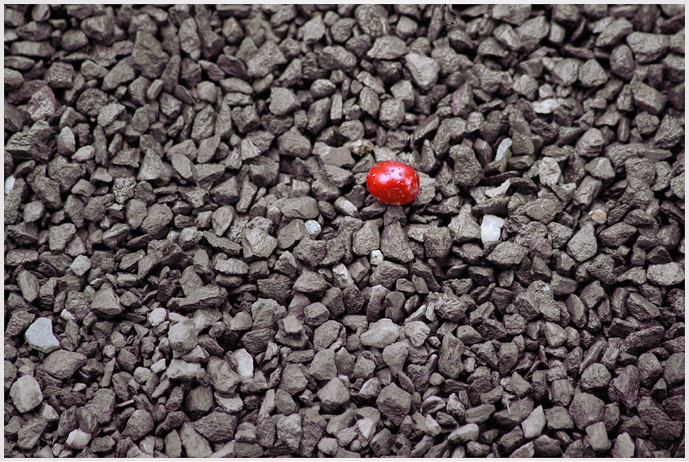 Spätsommer (1) oder: A ruby in a mountain of rocks