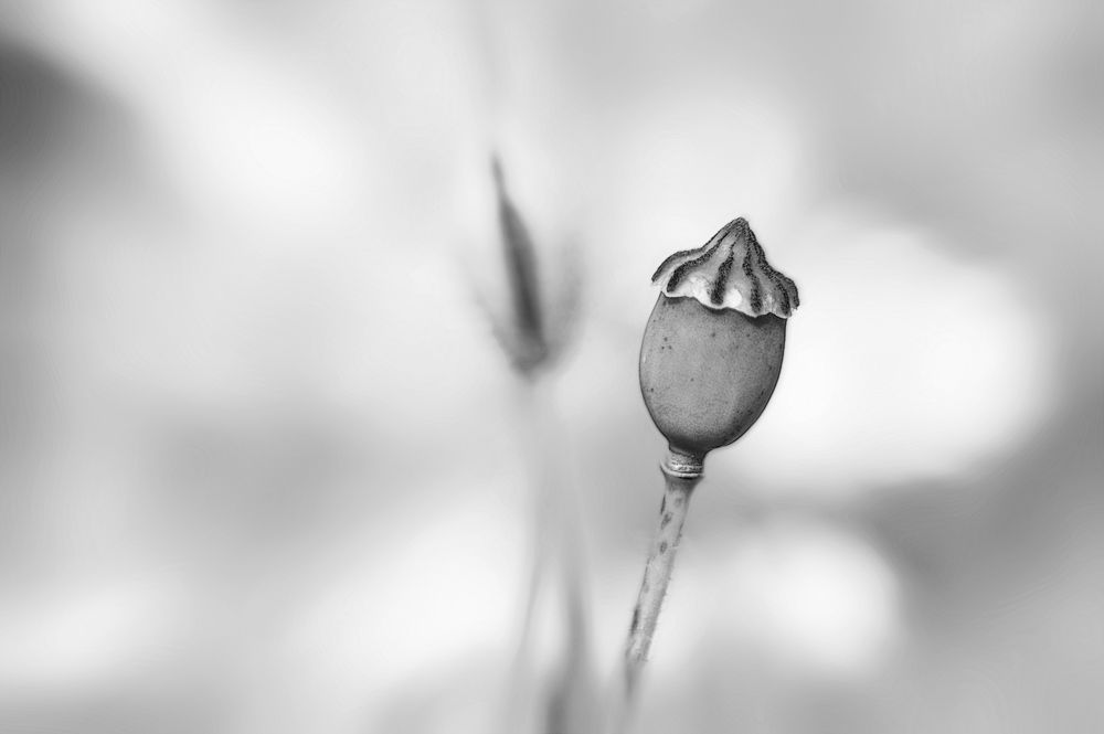 spätsommer