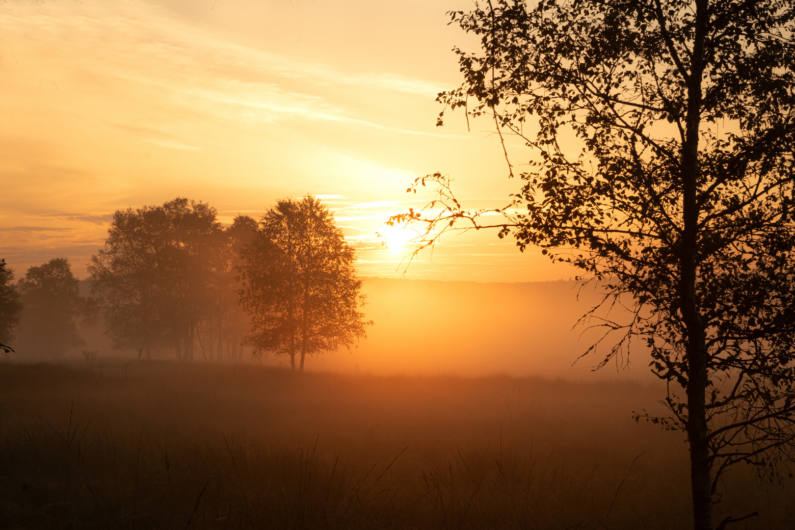 Spätsommer