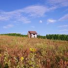 Spätsommer 