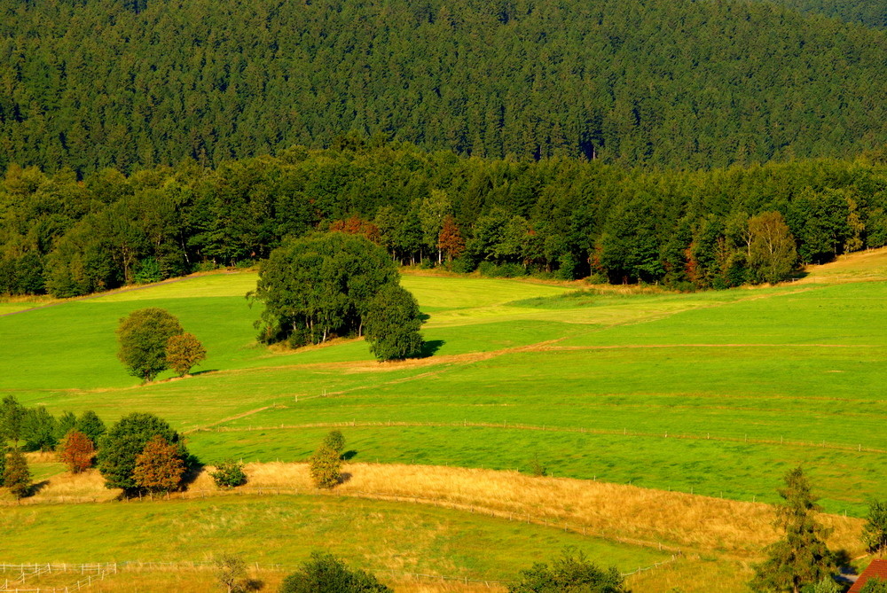 Spätsommer 2