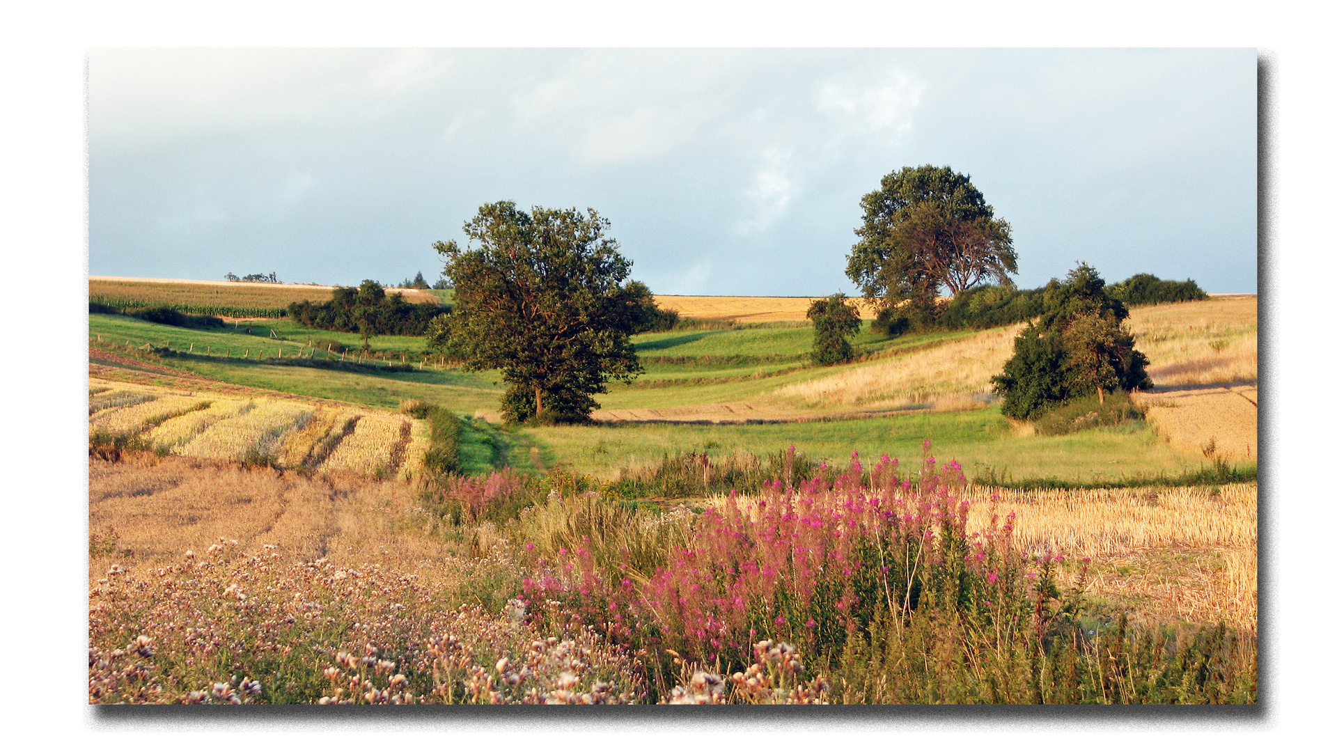 Spätsommer 2010