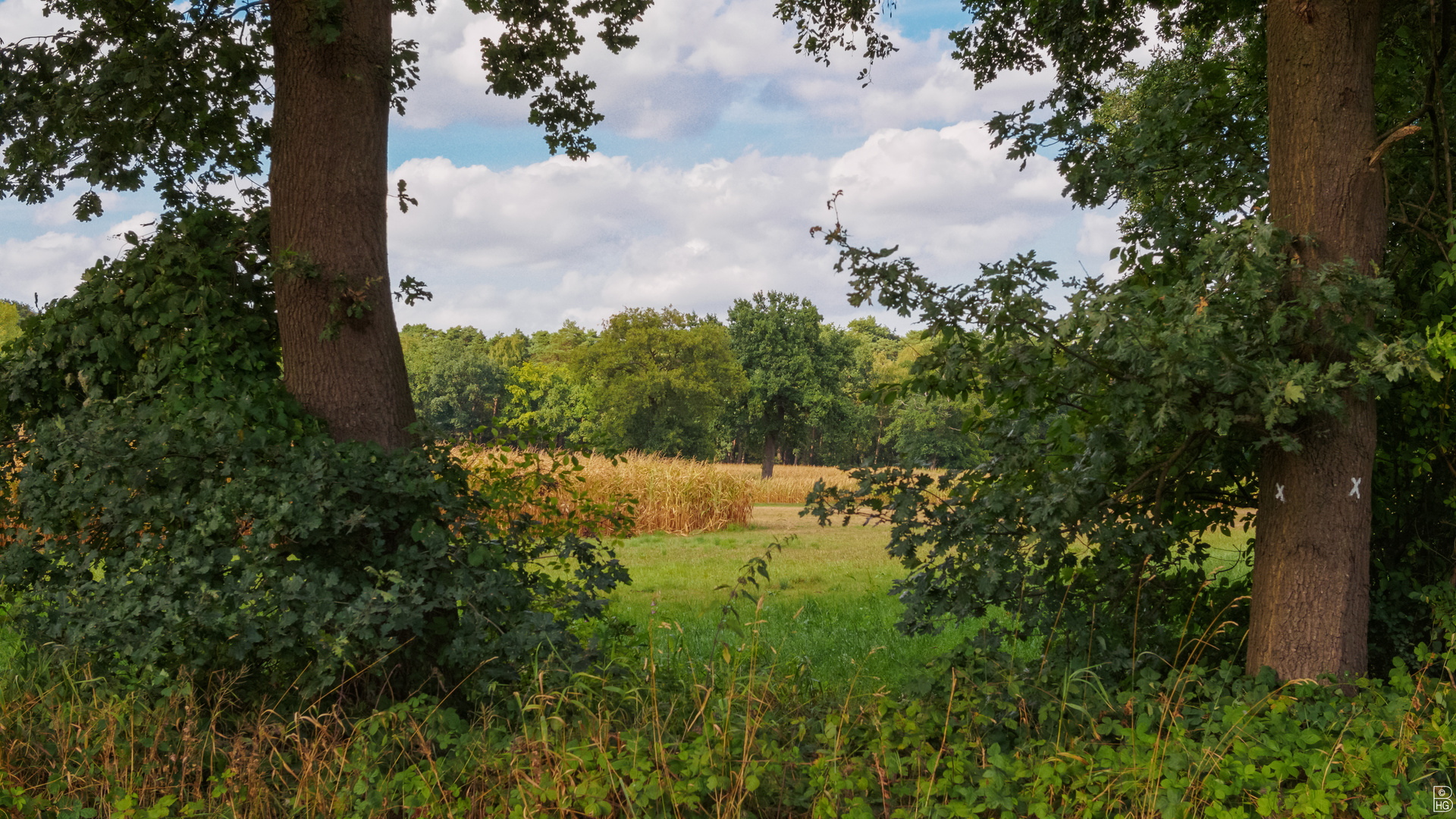 Spätsommer 2018 im Münsterland