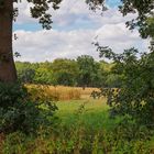 Spätsommer 2018 im Münsterland