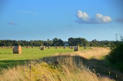 Spätsommer 2024 Hiddensee 
