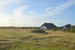Spätsommer 2024 Hiddensee 